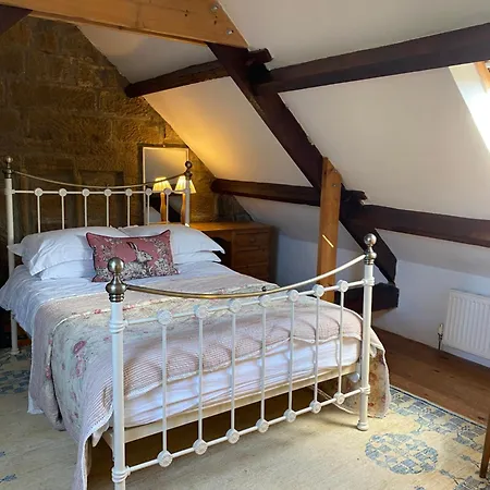 بيت للعطل Daffodil