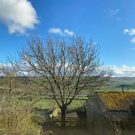 Daffodil بيت للعطل