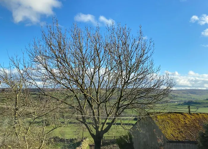 Daffodil بيت للعطل