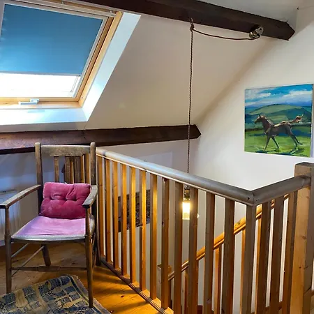 Semesterbostad Daffodil *